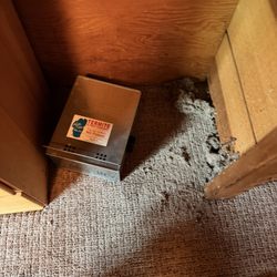 Lakeside Termite & Pest Control - Next to their trap ... means they don't even check it