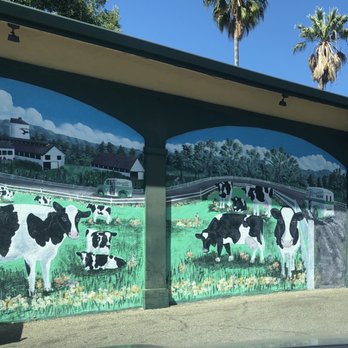 Meadowlark Dairy - Ice Cream & Frozen Yogurt Near Me - Pleasanton, California