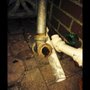Photo of Sewer Cleaning Services