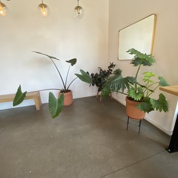 Prince Coffee - Beautiful big plants! And the ~*vibe*~ - Coffee & Tea Near Me - Portland, Oregon Prince Coffee - Beautiful big plants! And the ~*vibe*~ - Coffee & Tea Near Me - Portland, Oregon