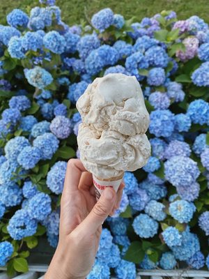 Gray's Ice Cream by null