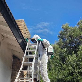 High Quality Pest Control - Getting ready to treat bees in a chimney! - Pest Control Near Me - Simi Valley, California High Quality Pest Control - Getting ready to treat bees in a chimney! - Pest Control Near Me - Simi Valley, California