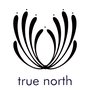 Photo of Lesa Pensak - True North Rolf Structural Integration