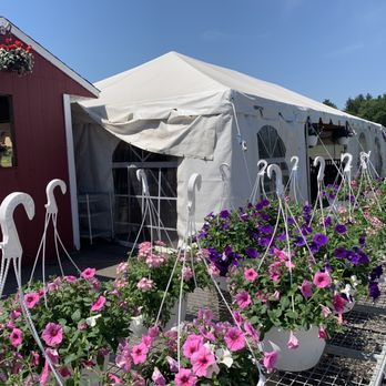 Rose’s Berry Farm - Hanging Plants - Farms Near Me - Glastonbury, Connecticut