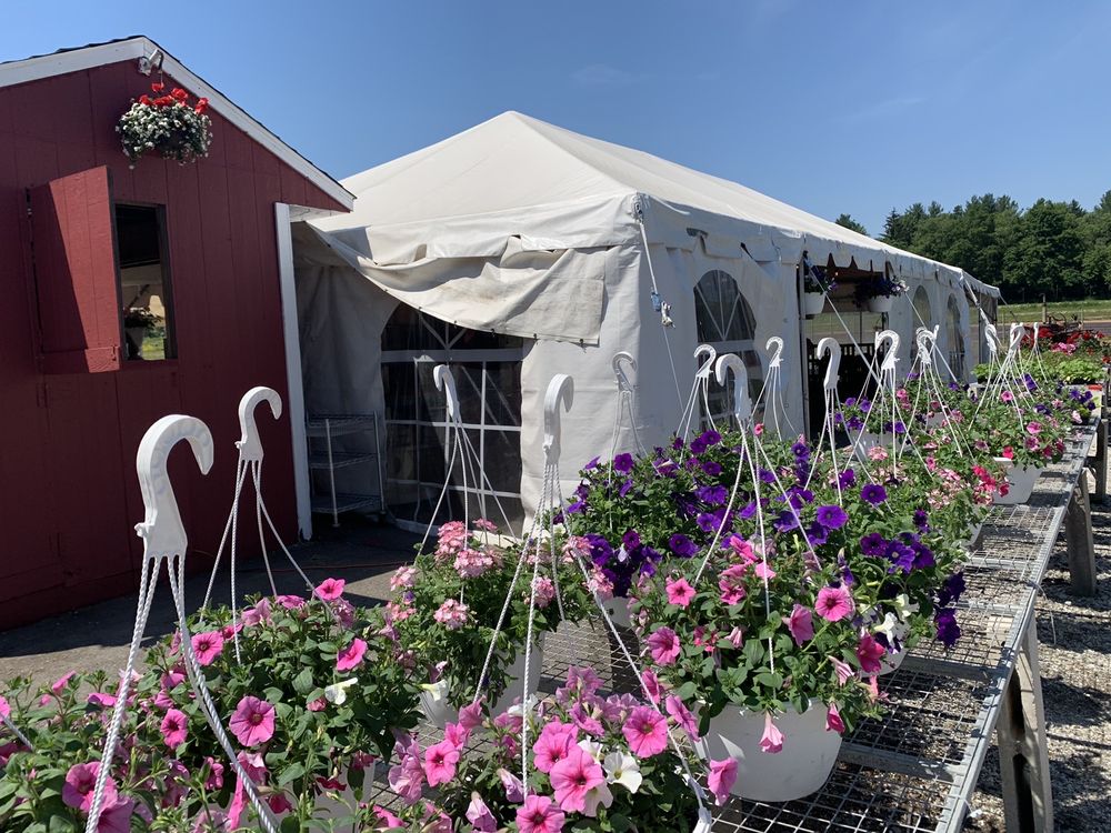 ROSE’S BERRY FARM Updated October 2024 53 Photos & 15 Reviews