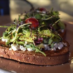 Healthy Habit Microgreens