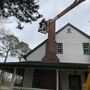 Photo of Batman Wildlife and Chimney Sweep