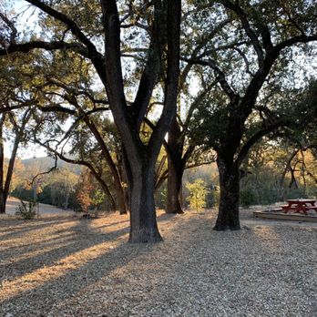 Pasolivo Ranch - Olive Oil Near Me - Paso Robles, California