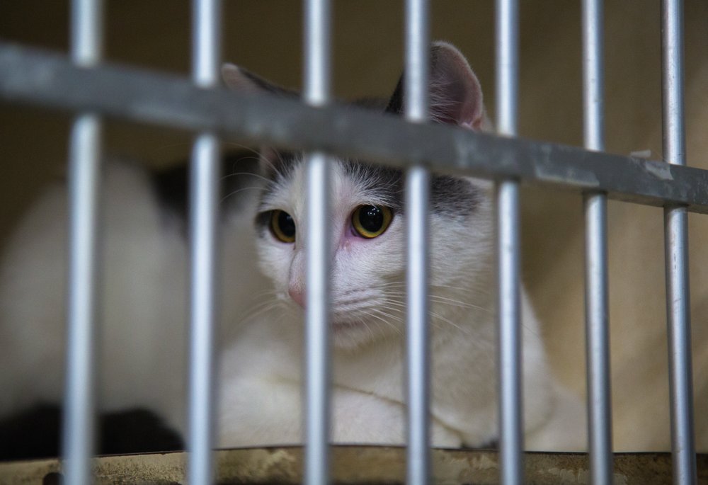 SOLDAN’S PET SUPPLIES Updated August 2024 19 Photos 6201 W Saginaw Hwy, Lansing, Michigan