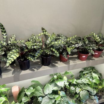 Grounded - Cafes Near Me - Washington, DC, District of Columbia