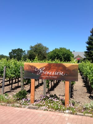 Benessere Vineyards by null