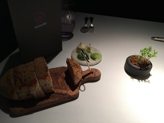 Ammolite - The Lighthouse Restaurant by null