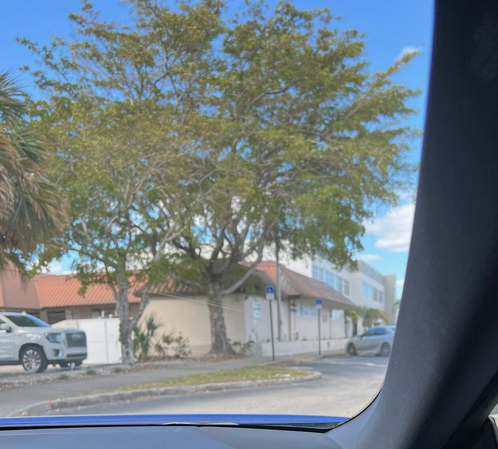 MRI SCAN & IMAGING CENTER Updated August 2024 14 Photos & 57