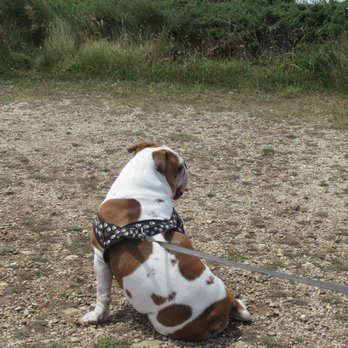 Illa Pancha - pets allowed - Landmarks & Historical Buildings Near Me - Isla Pancha, LU