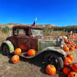 Thompson's Farm Market - Cute photo op