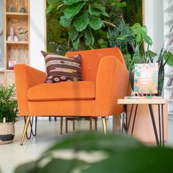 Moss Plant Shop - Come sit among the plants and enjoy a moment of calm