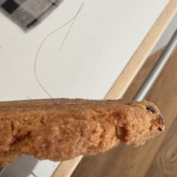 HoneyHole Sandwiches - Chocolate Chip Cookie - Bars Near Me - Seattle, Washington