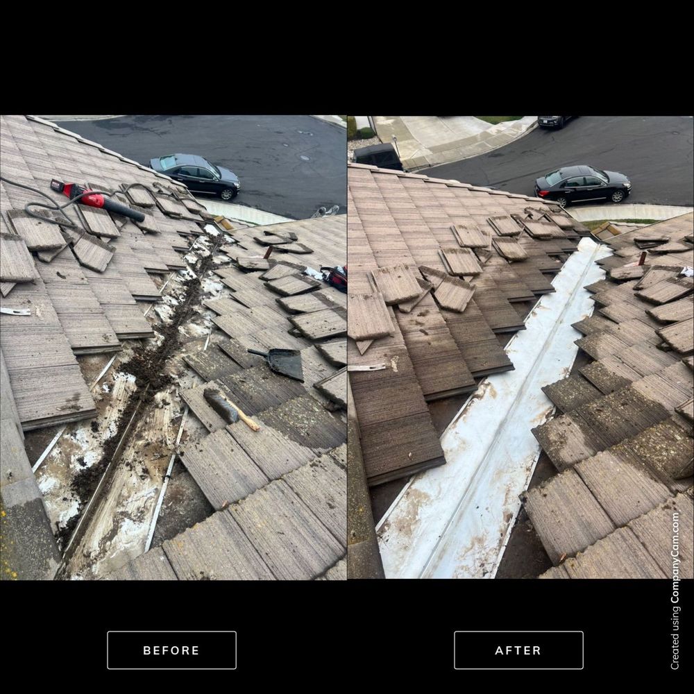 Slide of Moss X Roof Cleaning and Repair