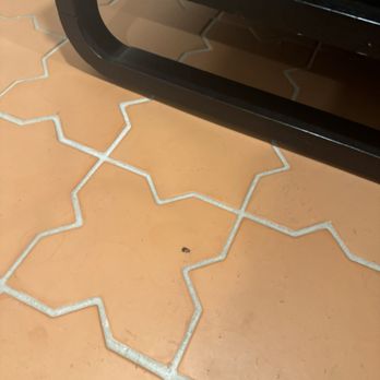 King Christian Hotel - Bugs on the floor - Hotels Near Me - Christiansted, Virgin Islands