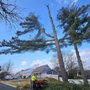 Photo of Beautiful Country Tree Service
