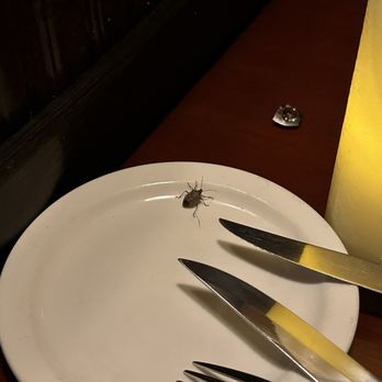 Stables Steakhouse - The bug on the plate meal I did not order. - Steakhouses Near Me - Terre Haute, Indiana