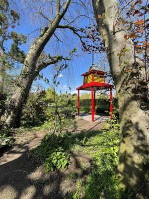 Botanic Gardens by null