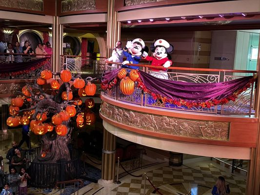 Disney Dream by null