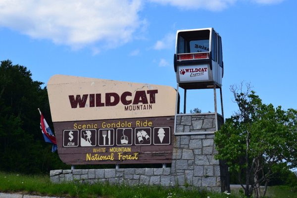 Wildcat Mountain by null