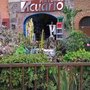 Photo of Pinturas Acuario