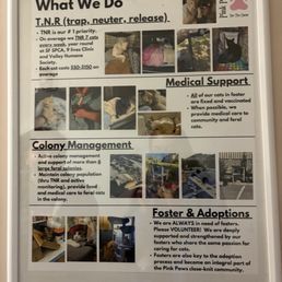 Pink paws poster