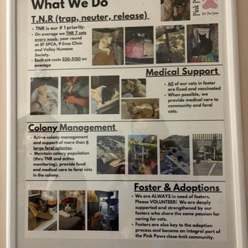 Whiskerwood Haven - Pink paws poster - Animal Shelters Near Me - San Francisco, California