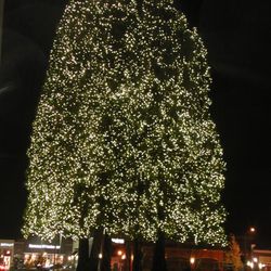 Hollywood Lights 2019 All You Need To Know Before Go With Hollywood Lights 2019 All You Need To