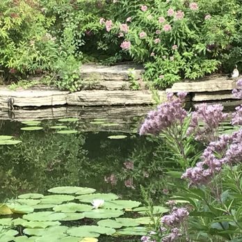 Alfred Caldwell Lily Pool - Parks Near Me - Chicago, Illinois