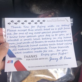 American Airlines - Dog biscuit - Airlines Near Me - Manchester, New Hampshire