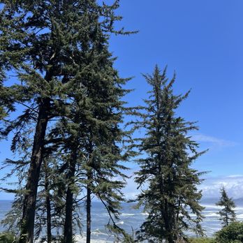 Sue-Meg State Park - Parks Near Me - Trinidad, California