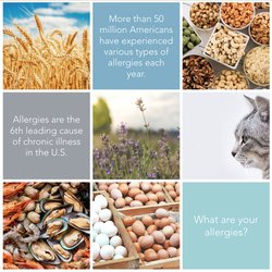 Maready Medical - Allergy Treatment