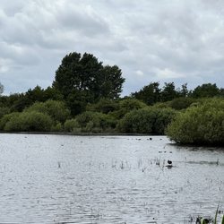 Amager Fælled - Amager Faelled