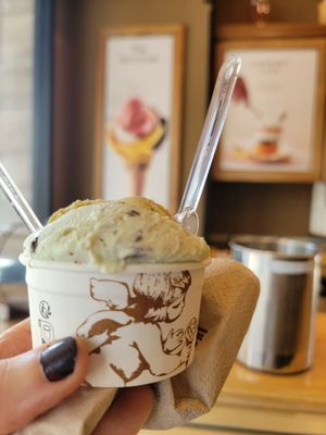 Amorino Gelato - Houston River Oaks by null