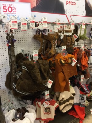 petco callaghan