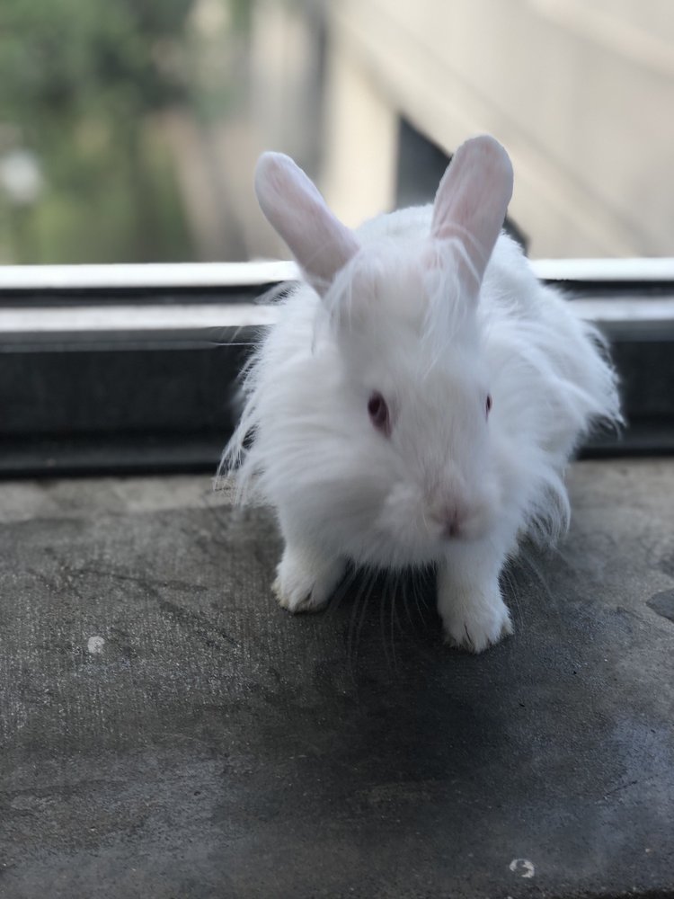 EDEN PET SUPPLIES & AQUARIUM Updated July 2024 21 Reviews 3771