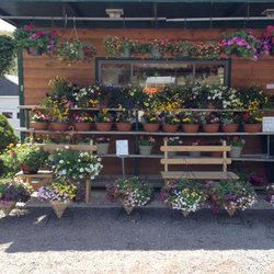 Cavage's Country Farm Market - Plants, Flowers, Produce & More!
