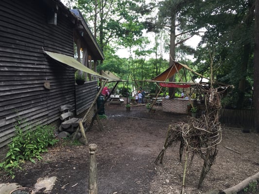 Wilderness Wood by null