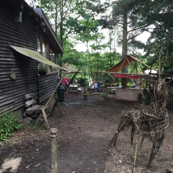 Wilderness Wood