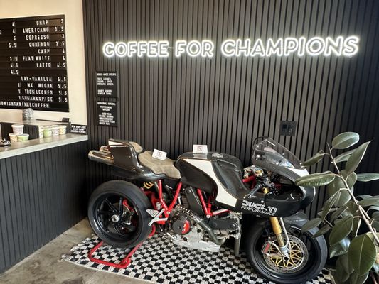 Midnight Animal Coffee by null