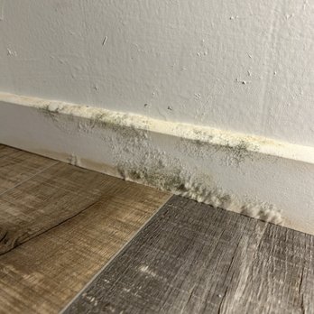 Window World - San Diego - Baseboard covered in mold in bedroom under window replaced due to leak - Windows Installation Near Me - San Marcos, California