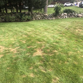 TruGreen Lawn Care - Tree Services Near Me - Danbury, Connecticut TruGreen Lawn Care - Tree Services Near Me - Danbury, Connecticut