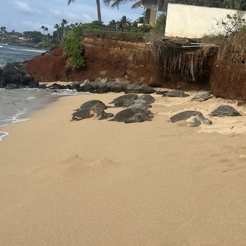 Kaulahao Beach - Beaches Near Me - Paia, Hawaii Kaulahao Beach - Beaches Near Me - Paia, Hawaii