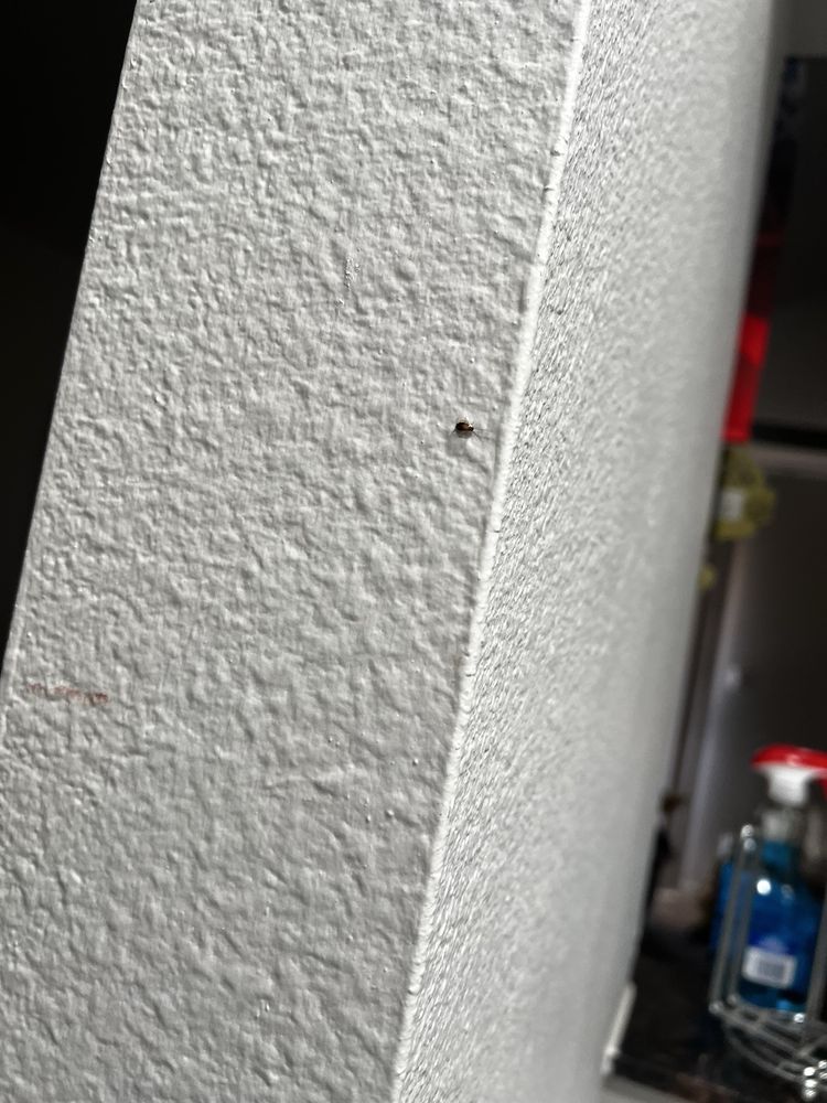 Onnix Apartments - property management company in Tempe, AZ