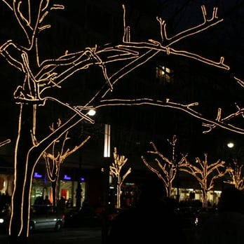 Unter den Linden - Local Flavor Near Me - Berlin, BE Unter den Linden - Local Flavor Near Me - Berlin, BE