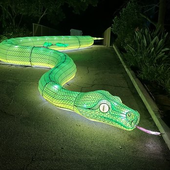 LA Zoo Lights - Zoos Near Me - Los Angeles, California LA Zoo Lights - Zoos Near Me - Los Angeles, California